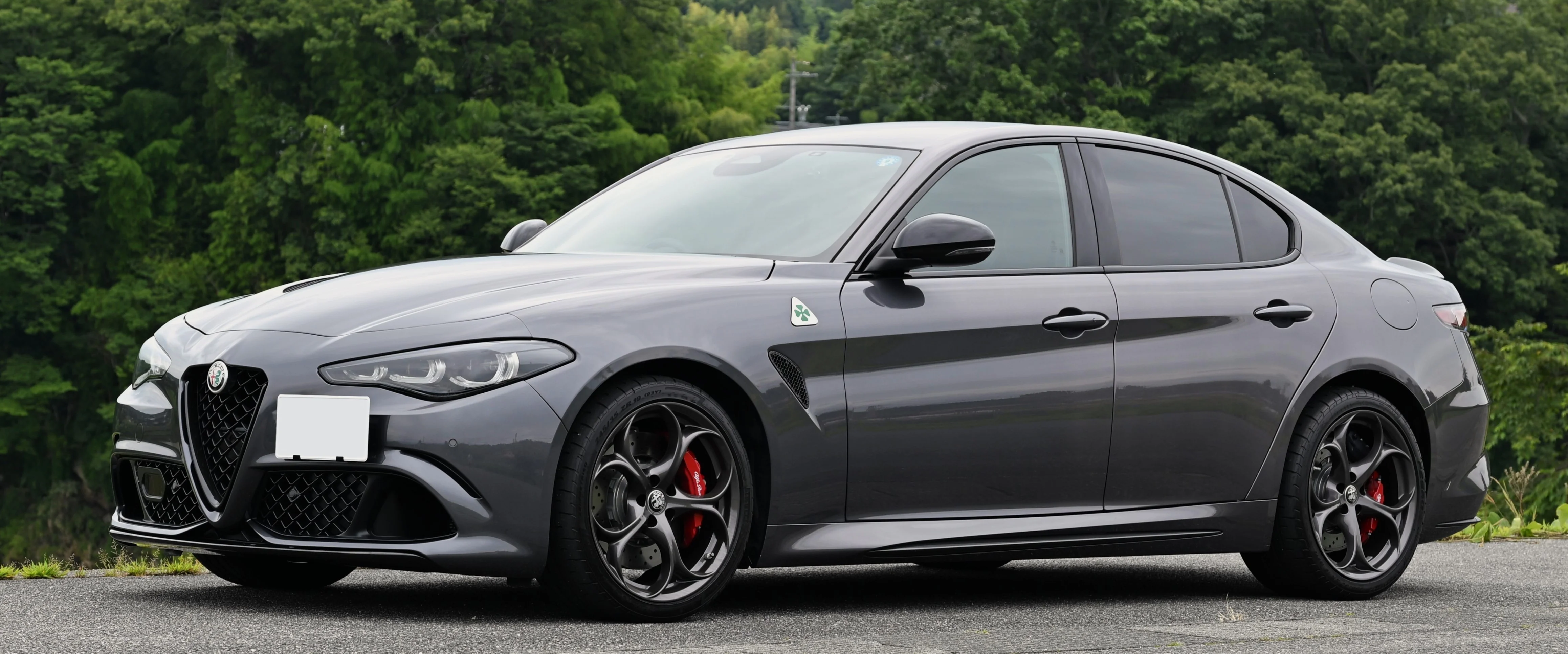Alfa Romeo Giulia – Alfa Romeo large family car